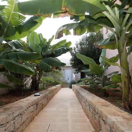 Sunset Apartments Malia  Exterior photo